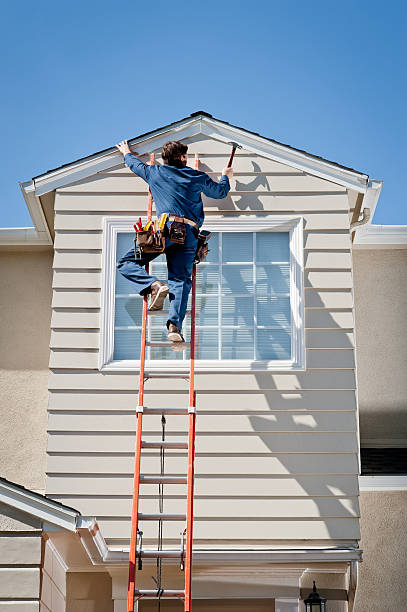 Best Custom Trim and Detailing for Siding  in Saint Johns University, MN